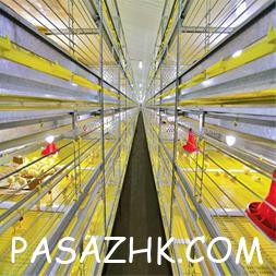 I380X253_074854699349