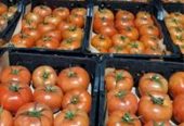 گوجه – خرید و قیمت گوجه عمده – ارزان ترین قیمت