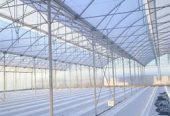 ساخت گلخانه های فلزی اجرا گلخانه