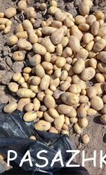 I380X253_563376045209