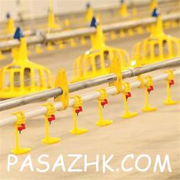 فروش تجهیزات مرغداری – مشهد