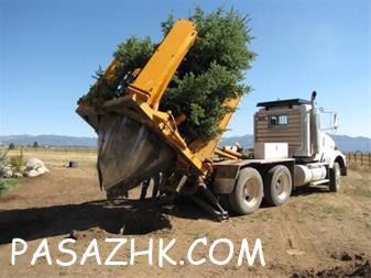 I380X253_718285007167