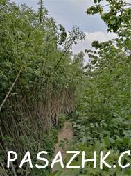 I380X253_766798795350