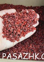 I380X253_809947070990