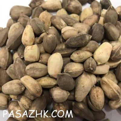 I800X500_208092698816