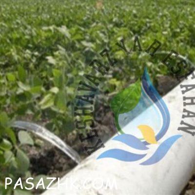 I800X500_955582671487