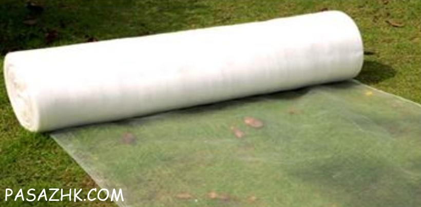 توری ضد حشره