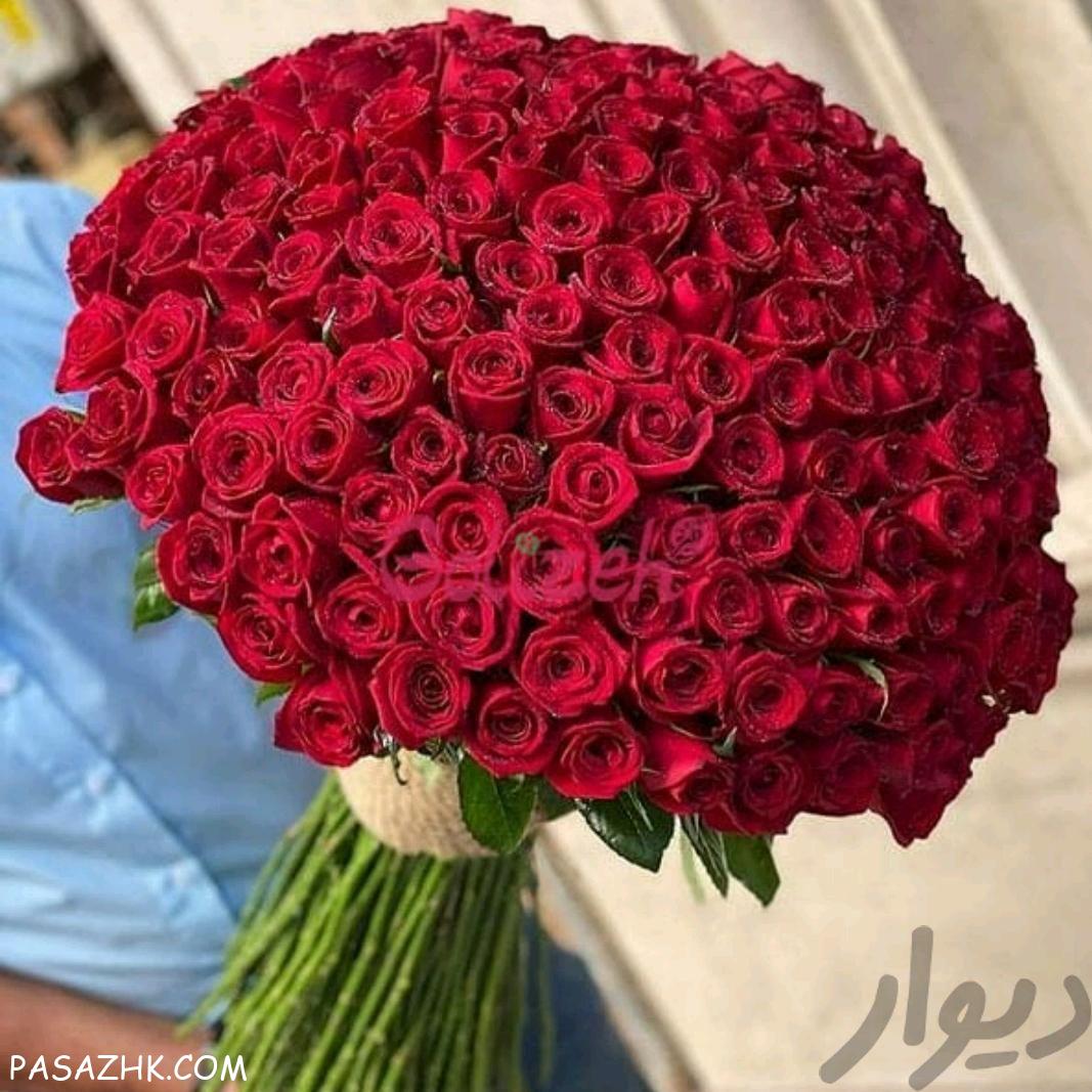 گلفروشی ،گل عروس .دسته گل رز هلندی