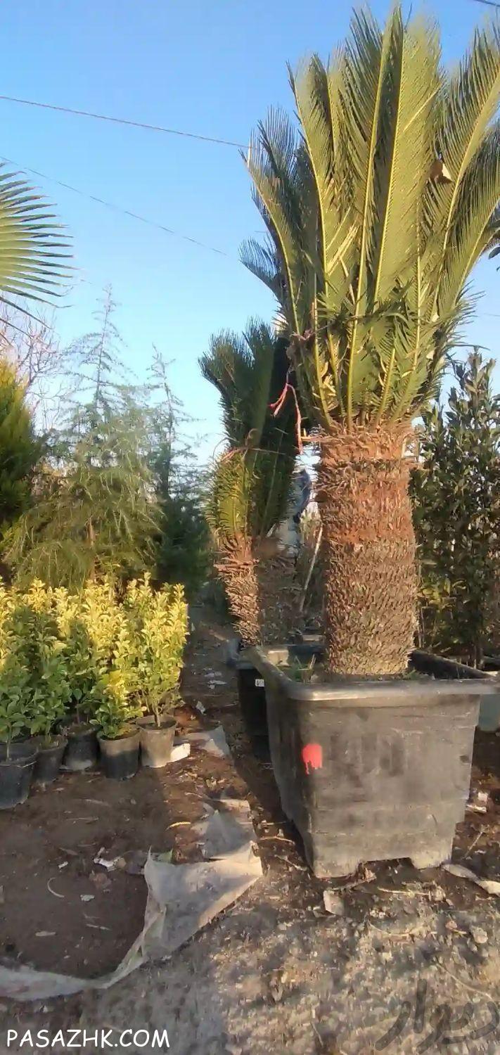 لوازم یدکی تراکتور رمضانی