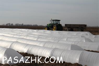 فروش ویژه نایلون گلخانه