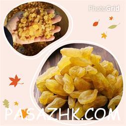 خرید کشمش زرد و سبز اعلا با ضمانت کیفیت بین‌المللی