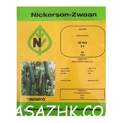 I380X253_401762841563