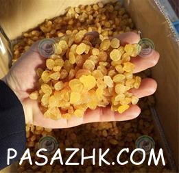 خرید کشمش زرد و سبز اعلا با ضمانت کیفیت بین‌المللی