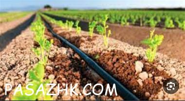 آبیاری قطره ای، آبیاری فضای سبز