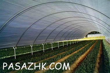 فروش ویژه نایلون گلخانه