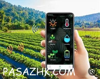 I380X253_719452671207