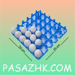 I380X253_782772904884