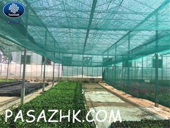 I380X253_809868323806