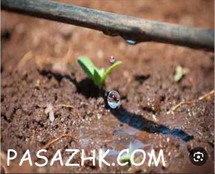 آبیاری قطره ای، آبیاری فضای سبز