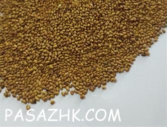 I380X253_932229649683