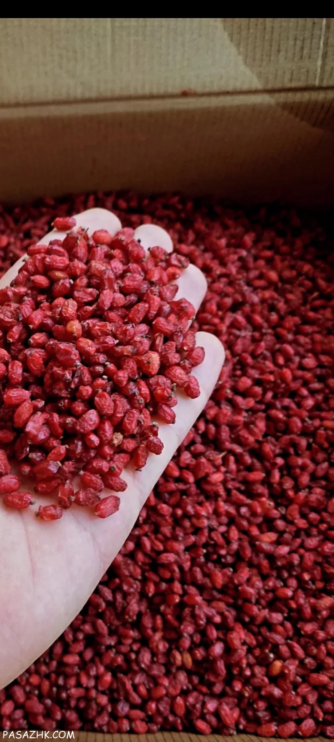 زرشک محسن محمدی بیرجند