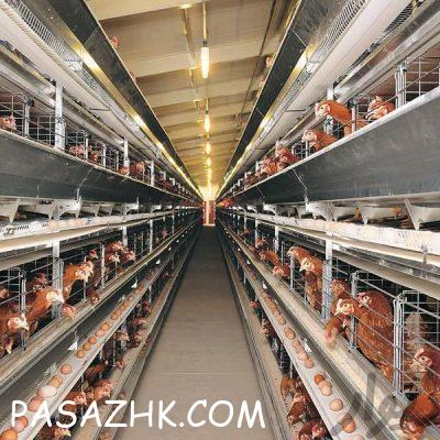 d92e69a3-bc3a-498b-886c-6c416d1cb1ec