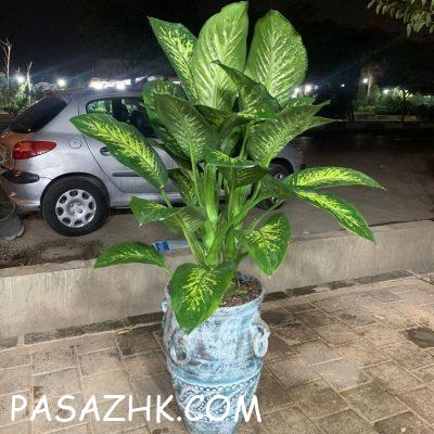 d994380b-dc11-4e8a-a6cb-49670b4226d7