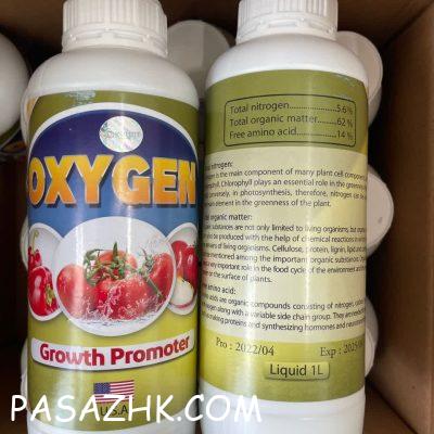 photo_2024-08-13_21-08-14