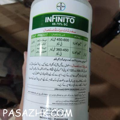 photo_2024-08-13_22-17-29