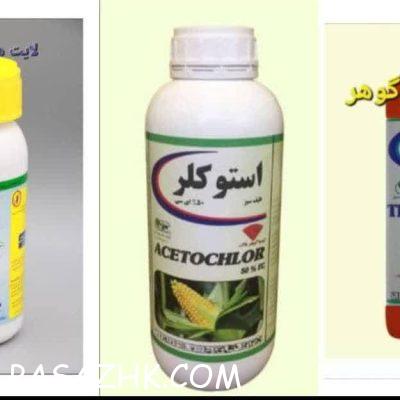 photo_2024-08-13_23-36-59