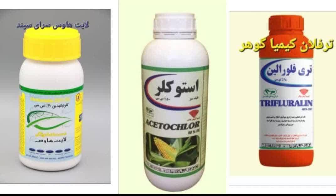 لایت هاوس سرای سپند