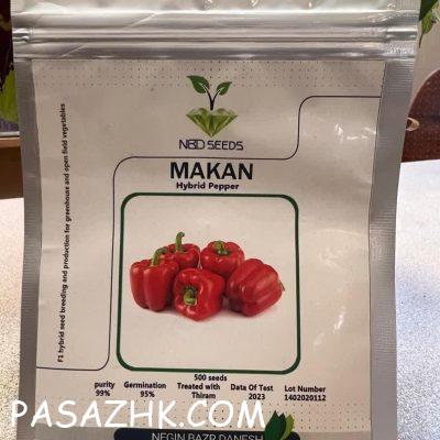 photo_2024-08-14_00-39-27