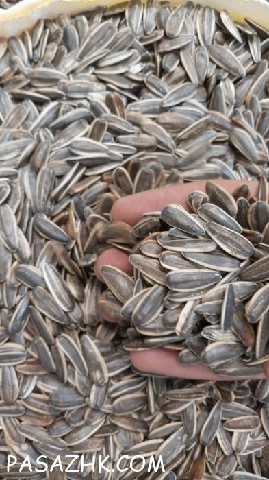 تخمه آفتابگردان خام