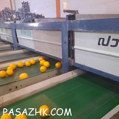 web-1695143981331-767475801-3sOcMW85SIGFV5yrlQRHucaIWNjcCYGGxdldR8kB