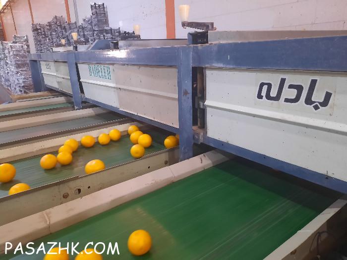 گریپ فرود شیرازی