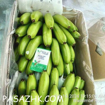 web-1708341743980-289721102-2ODB3Htt7Q3LMoLGi4R4gZASBUew1yj5jdPObK9z