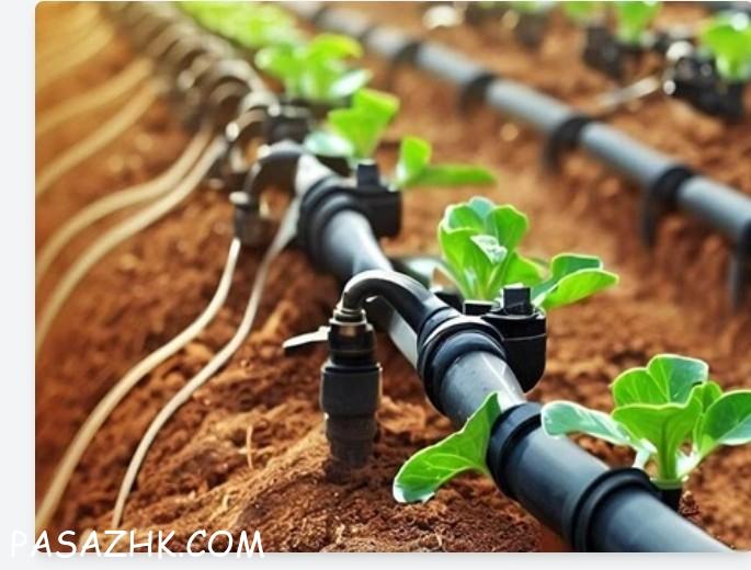 لوله آبیاری قطره ای