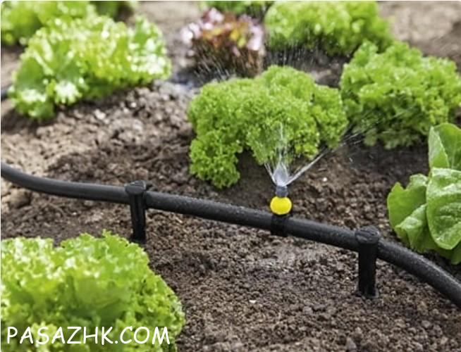 لوله آبیاری قطره ای