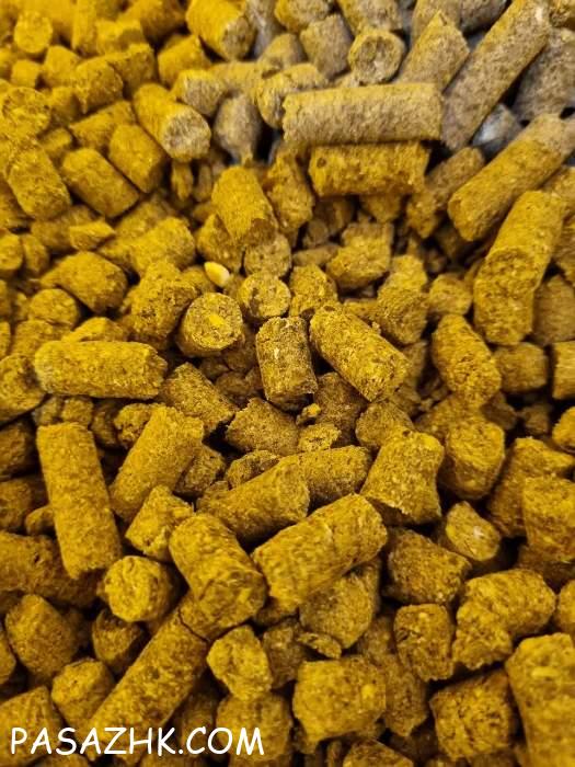 وراک دام پرواری