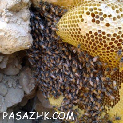 web-1715370036906-77812850-38T4XMKQHnEM0jmgLRQJb224MZkri7YKnYJO8czq