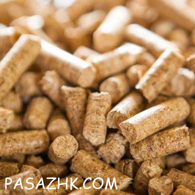 web-1720412848424-57945720-UHM08onxfgJT066pbLKcSfjABUs3P0YFNHmPlNOw