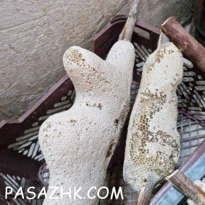 web-1721383938675-317599698-99GVYQ0yfbDZVA1vonY8oACRKfkqmwKI7jmmGmly