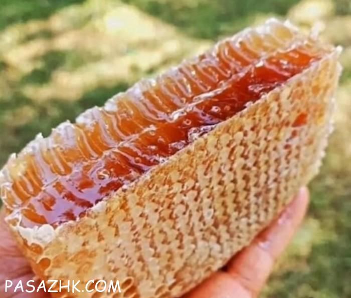 عسل طبیعی کوهی موم و ریال