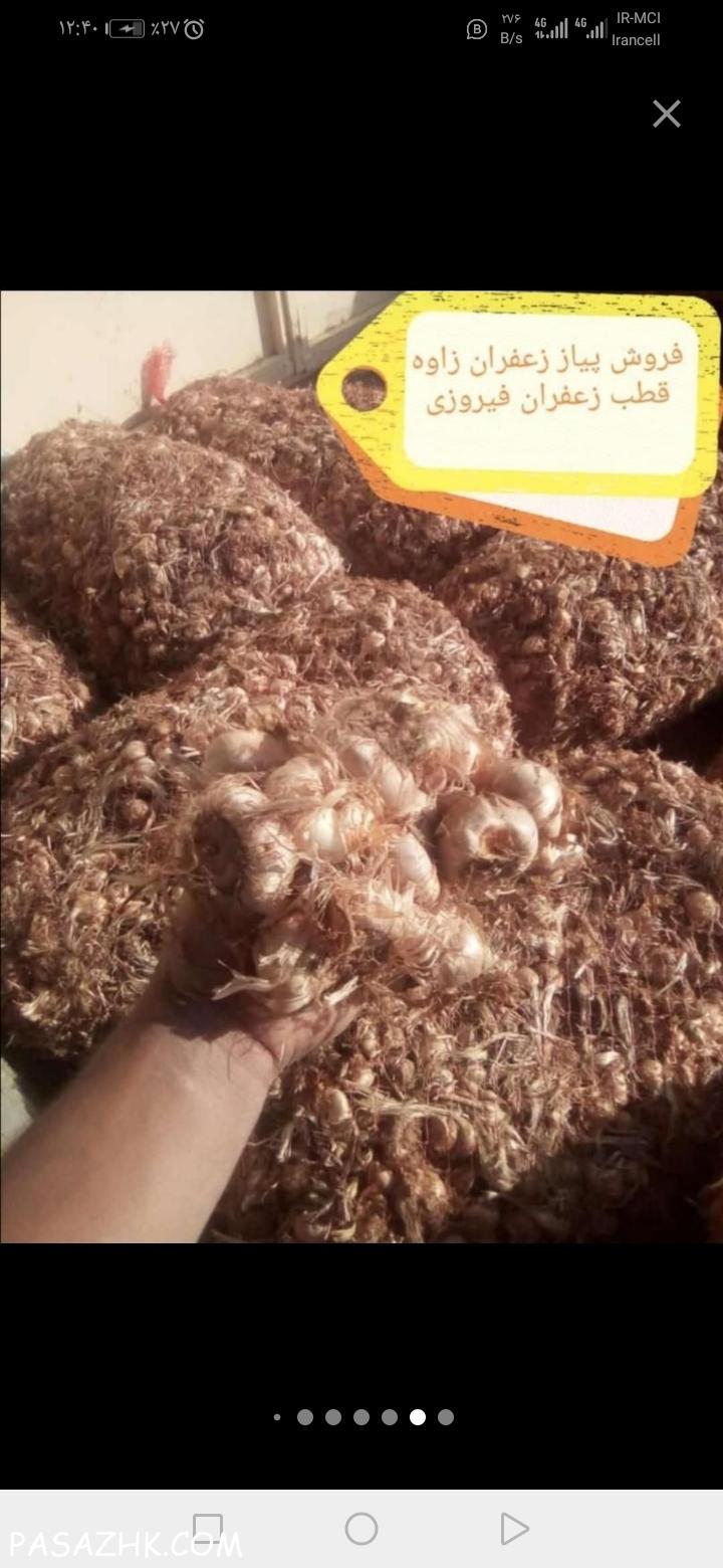 پیاز مرغوب زعفران