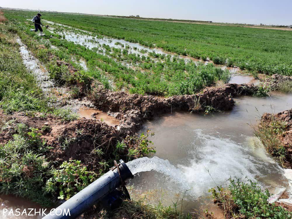 اجاره ۵۰ هکتار زمین کشاورزی دشتابی قزوین