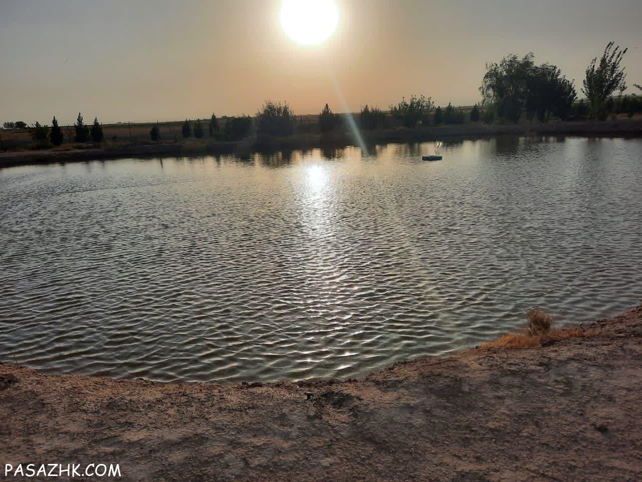 اجاره ۵۰ هکتار زمین کشاورزی دشتابی قزوین