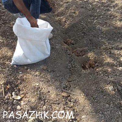 37efdd47-1ed9-4536-aa18-7d1d7e1fa9ff