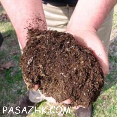 کود دامی کاملا سوخته 6f838743-a6d1-45be-9e03-9c2c4b77c6fa