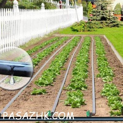 I800X500_028168058017