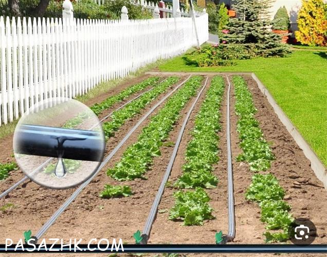 اجرای آبیاری قطره ای هوشمند و اتوماتیک